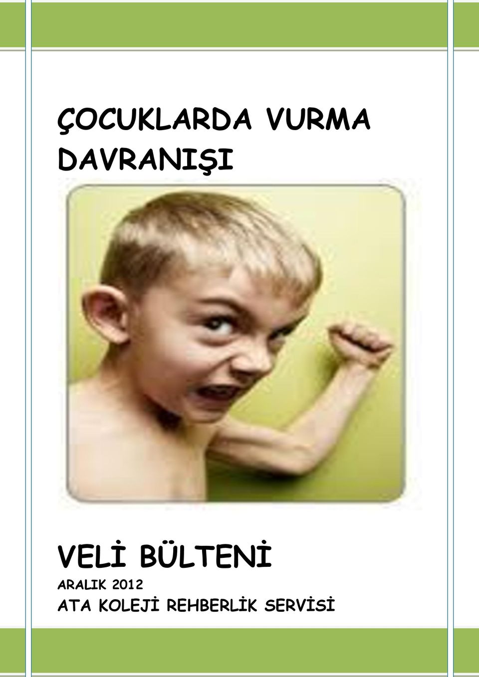 BÜLTENİ ARALIK 2012