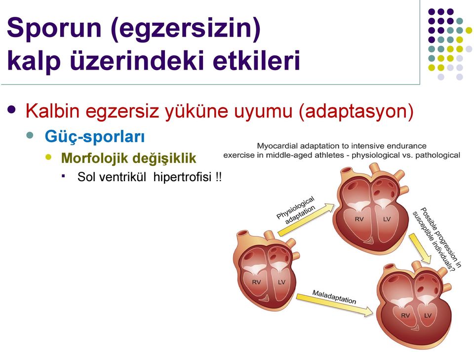 (adaptasyon) Güç-sporarı Morfoojik