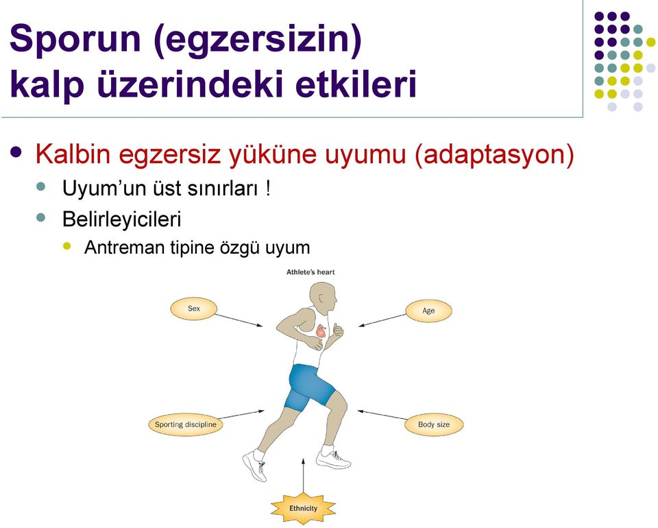 (adaptasyon) Uyum un üst sınırarı!