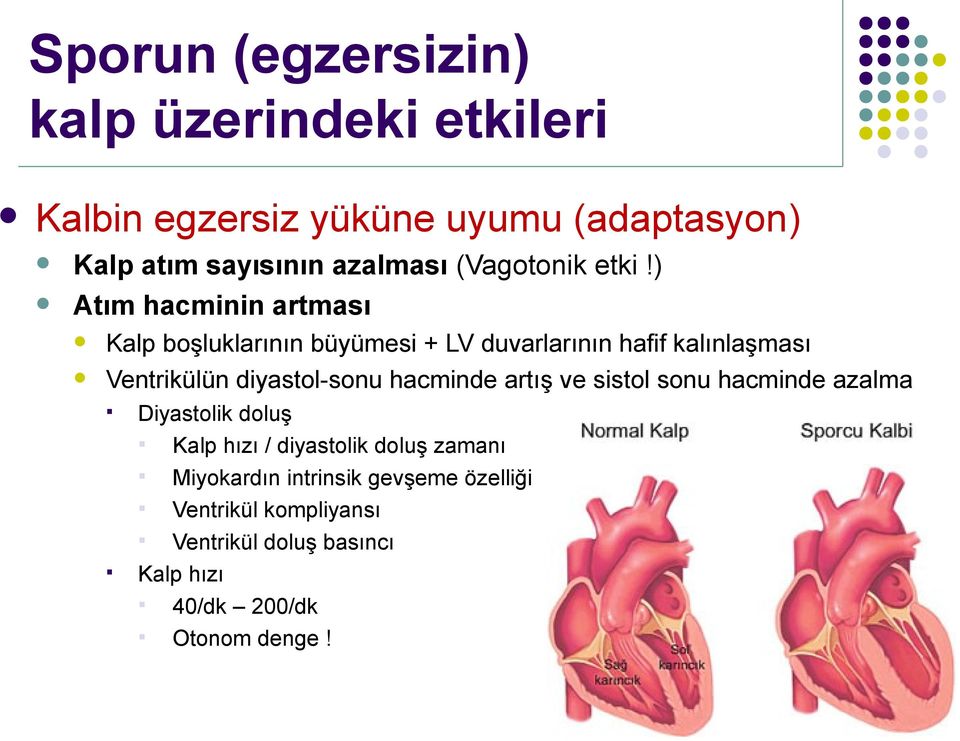 ) Atım hacminin artması Kap boşukarının büyümesi + LV duvararının hafif kaınaşması Ventriküün diyasto-sonu