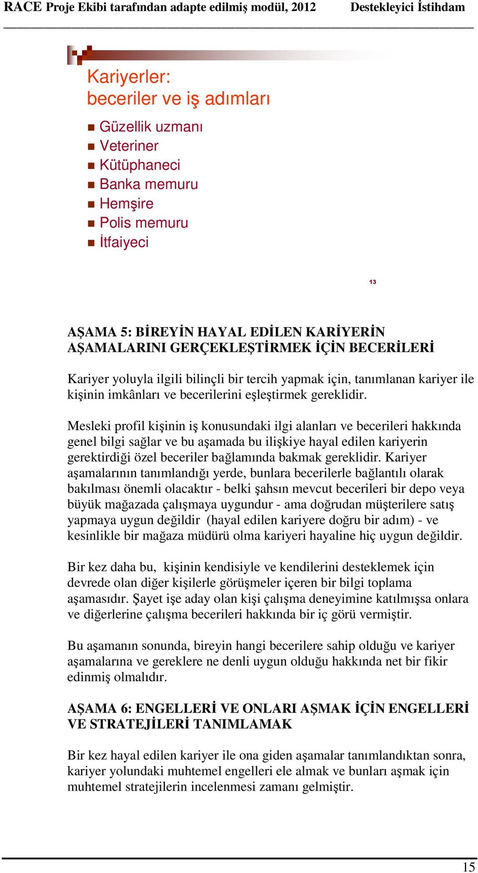 Mesleki profil kişinin iş konusundaki ilgi alanları ve becerileri hakkında genel bilgi sağlar ve bu aşamada bu ilişkiye hayal edilen kariyerin gerektirdiği özel beceriler bağlamında bakmak gereklidir.