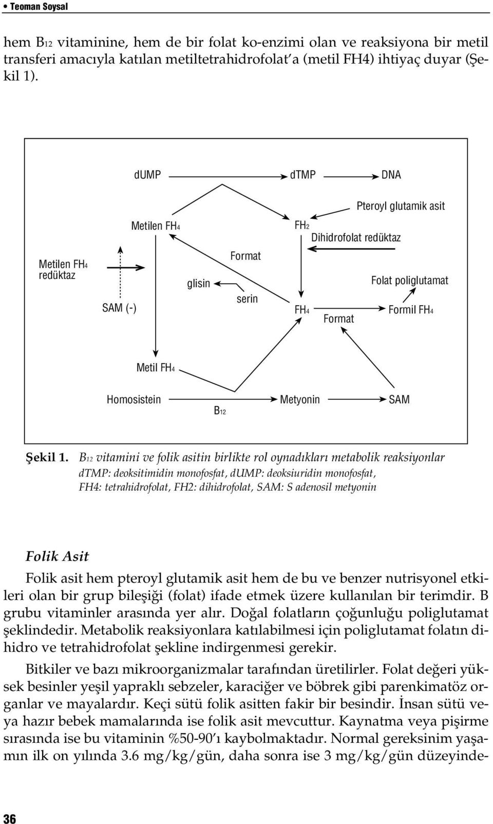 B grubu vitaminler aras nda yer al r. Do al folatlar n ço unlu u poliglutamat fleklindedir.