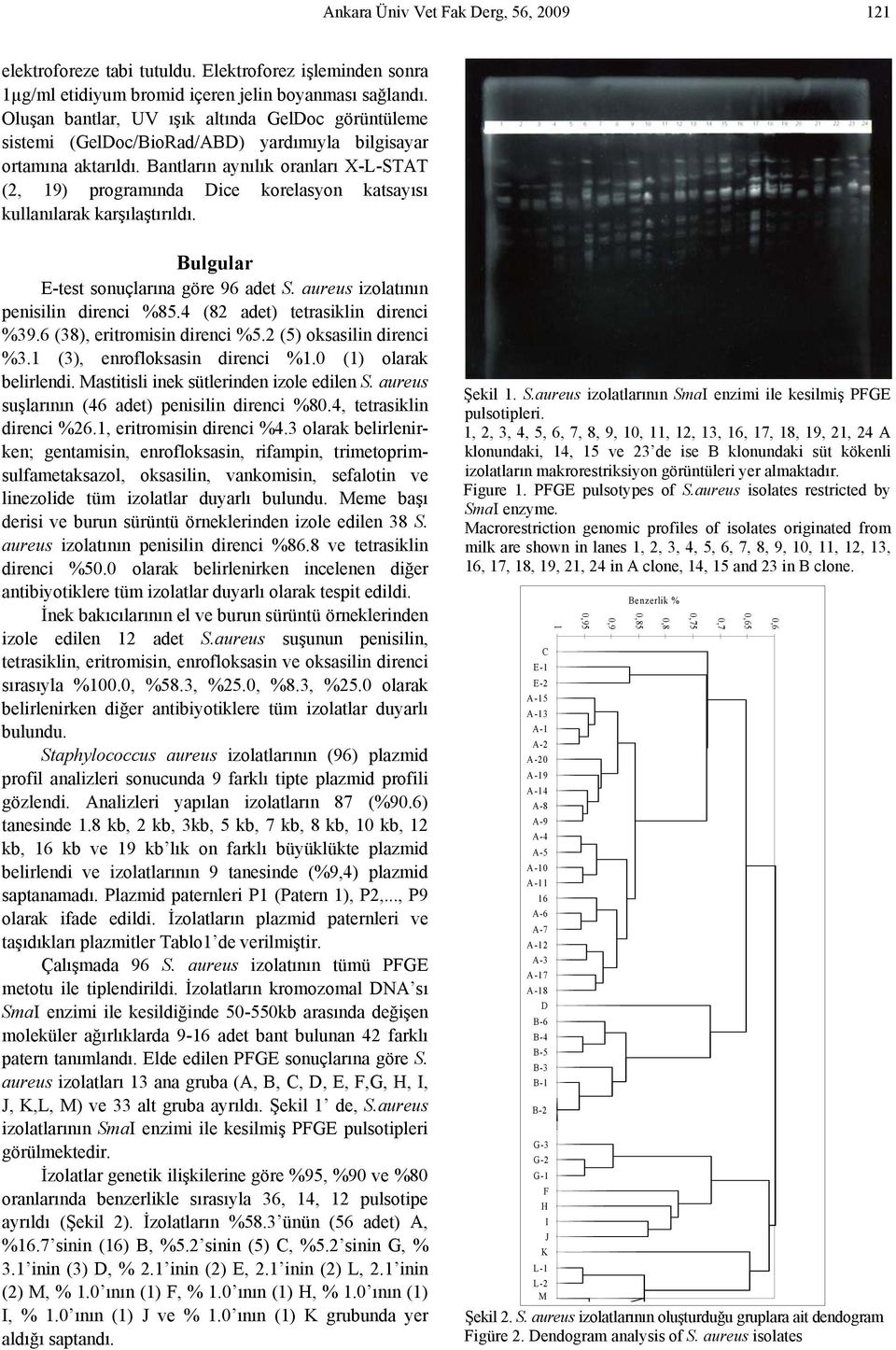 Bantların aynılık oranları X-L-STAT (2, 19) programında Dice korelasyon katsayısı kullanılarak karşılaştırıldı. Bulgular E-test sonuçlarına göre 96 adet S. aureus izolatının penisilin direnci %85.