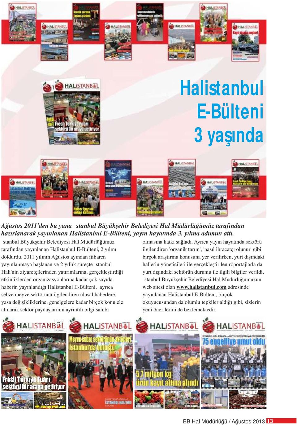 Ayrıca yayın hayatında sektörü tarafından yayınlanan Halistanbul E-Bülteni, 2 yılını ilgilendiren 'organik tarım', 'nasıl ihracatçı olunur' gibi doldurdu.