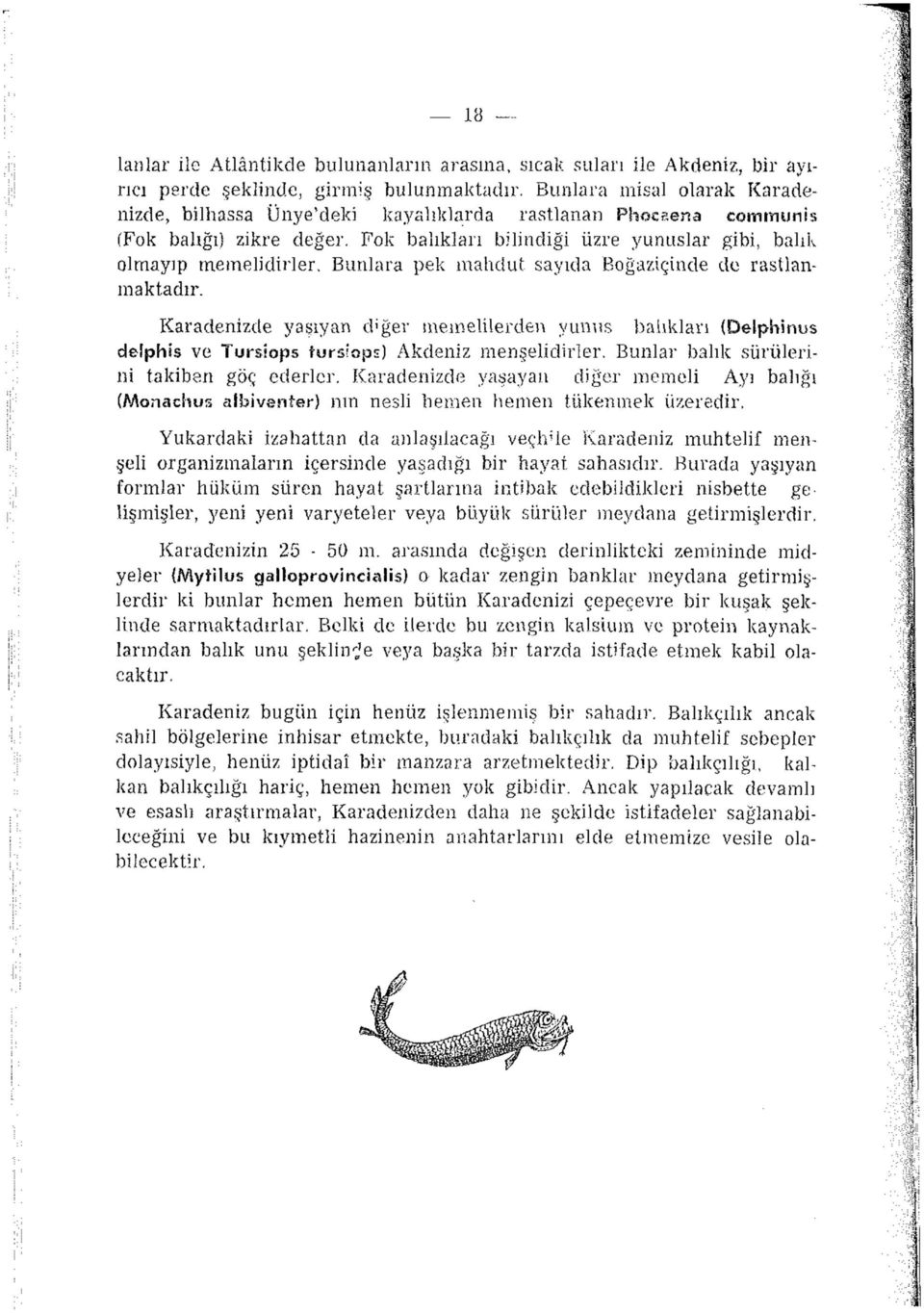 Bunlara pek mahdut sayıda Boğaziçinde de rastlanmaktadır. Karadenizde yaşıyan d'ğer memelilerden yunus balıkları (DeSphirıus deîphis ve Tursiops tursiops) Akdeniz menşelidirler.