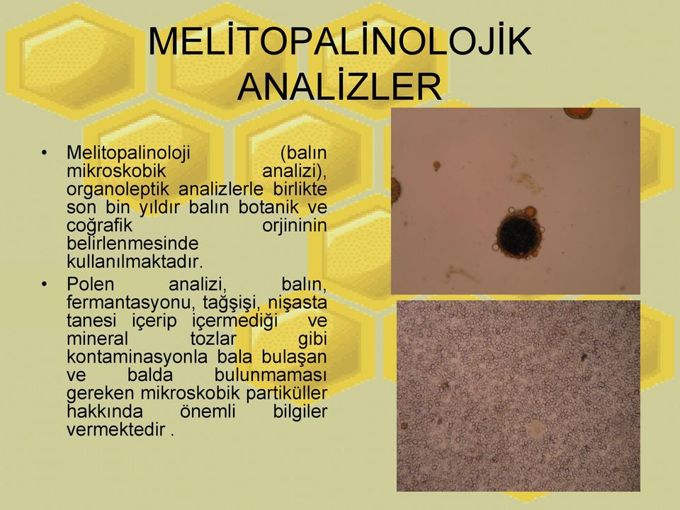 Polen analizi, balın, fermantasyonu, tağģiģi, niģasta tanesi içerip içermediği ve mineral tozlar gibi