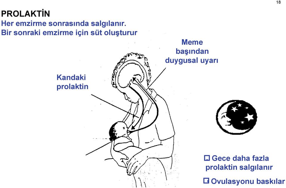 prolaktin Meme başından duygusal uyarı 18 Gece