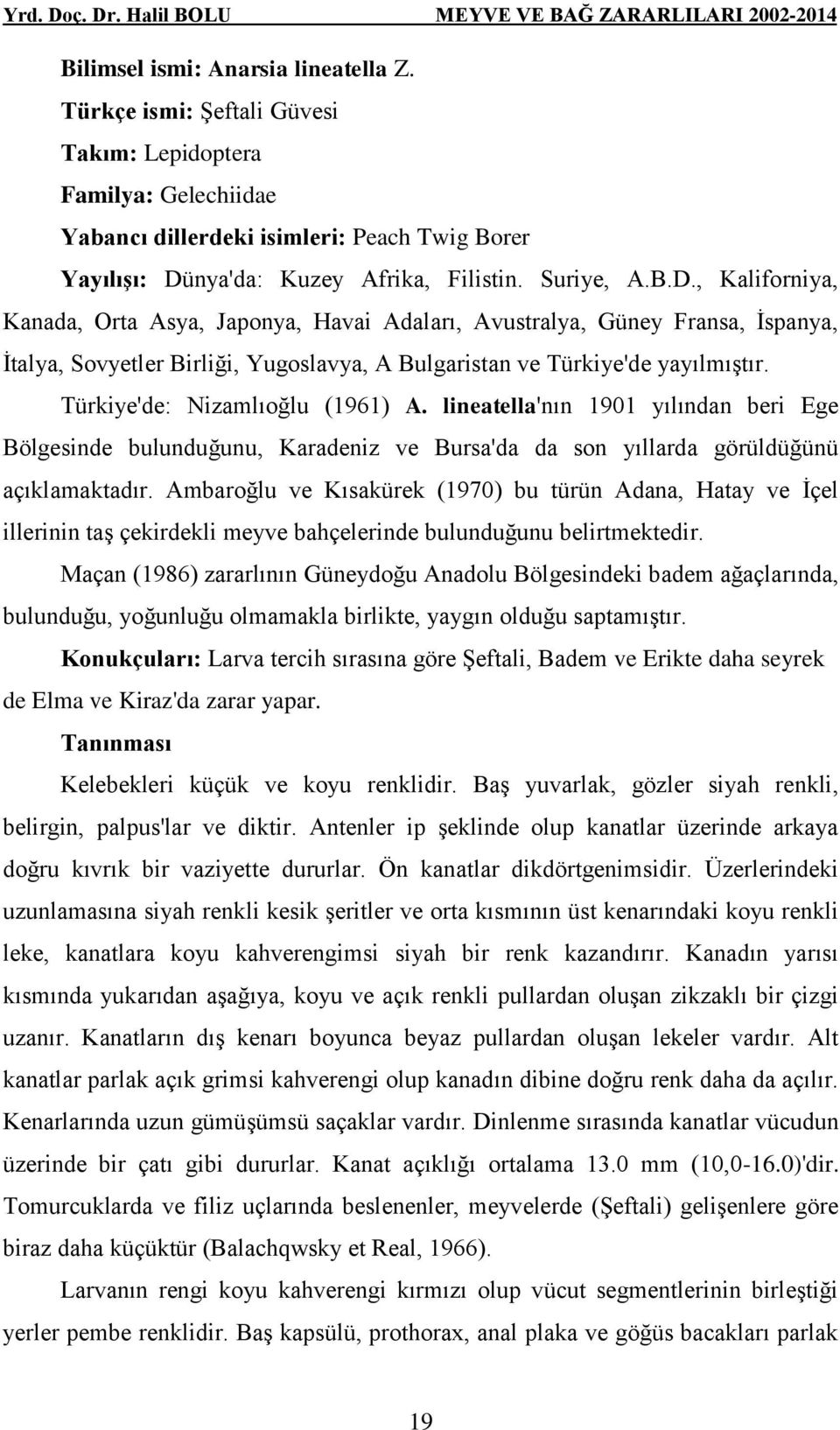 Türkiye'de: Nizamlıoğlu (1961) A. lineatella'nın 1901 yılından beri Ege Bölgesinde bulunduğunu, Karadeniz ve Bursa'da da son yıllarda görüldüğünü açıklamaktadır.
