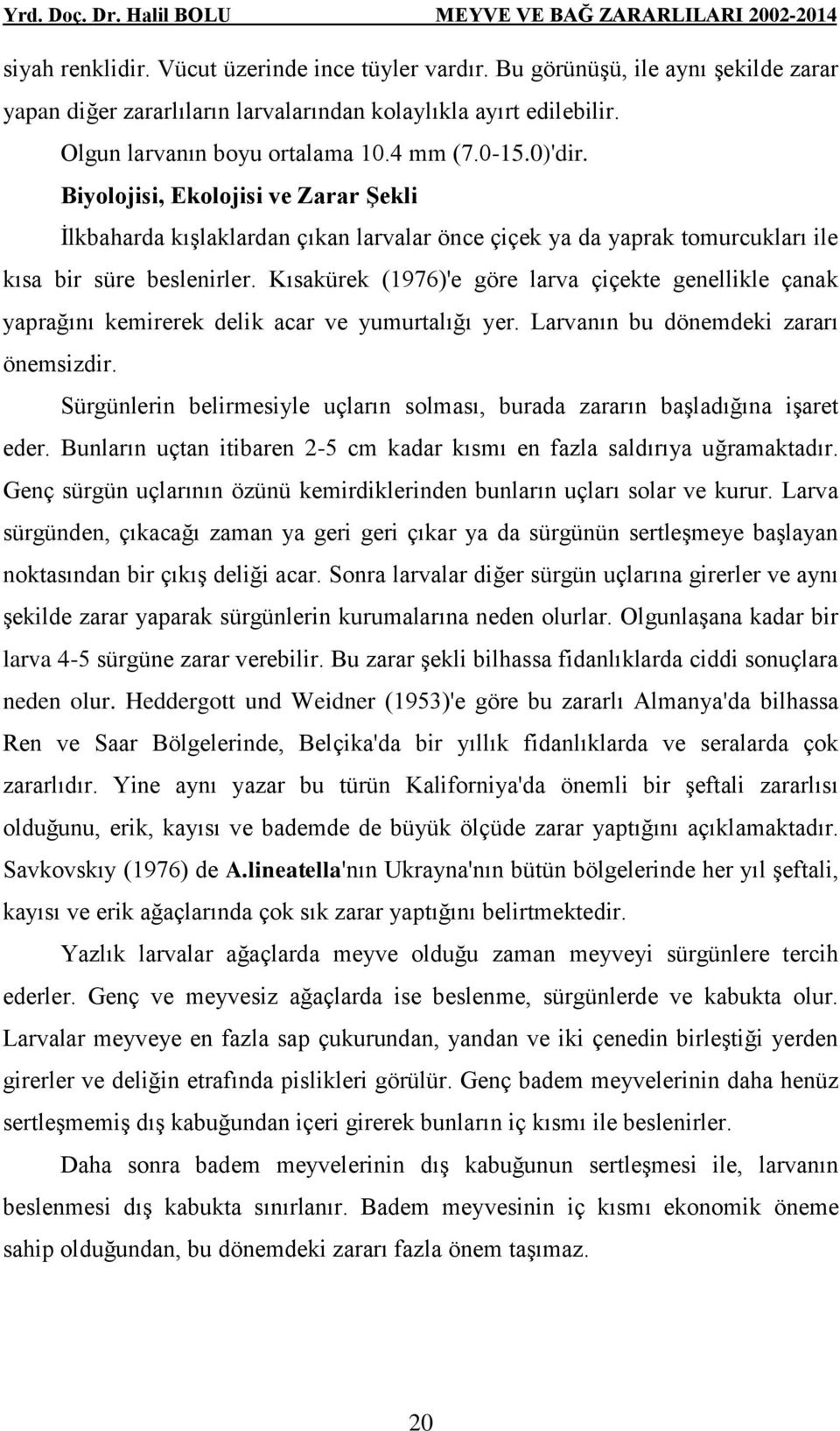 Kısakürek (1976)'e göre larva çiçekte genellikle çanak yaprağını kemirerek delik acar ve yumurtalığı yer. Larvanın bu dönemdeki zararı önemsizdir.