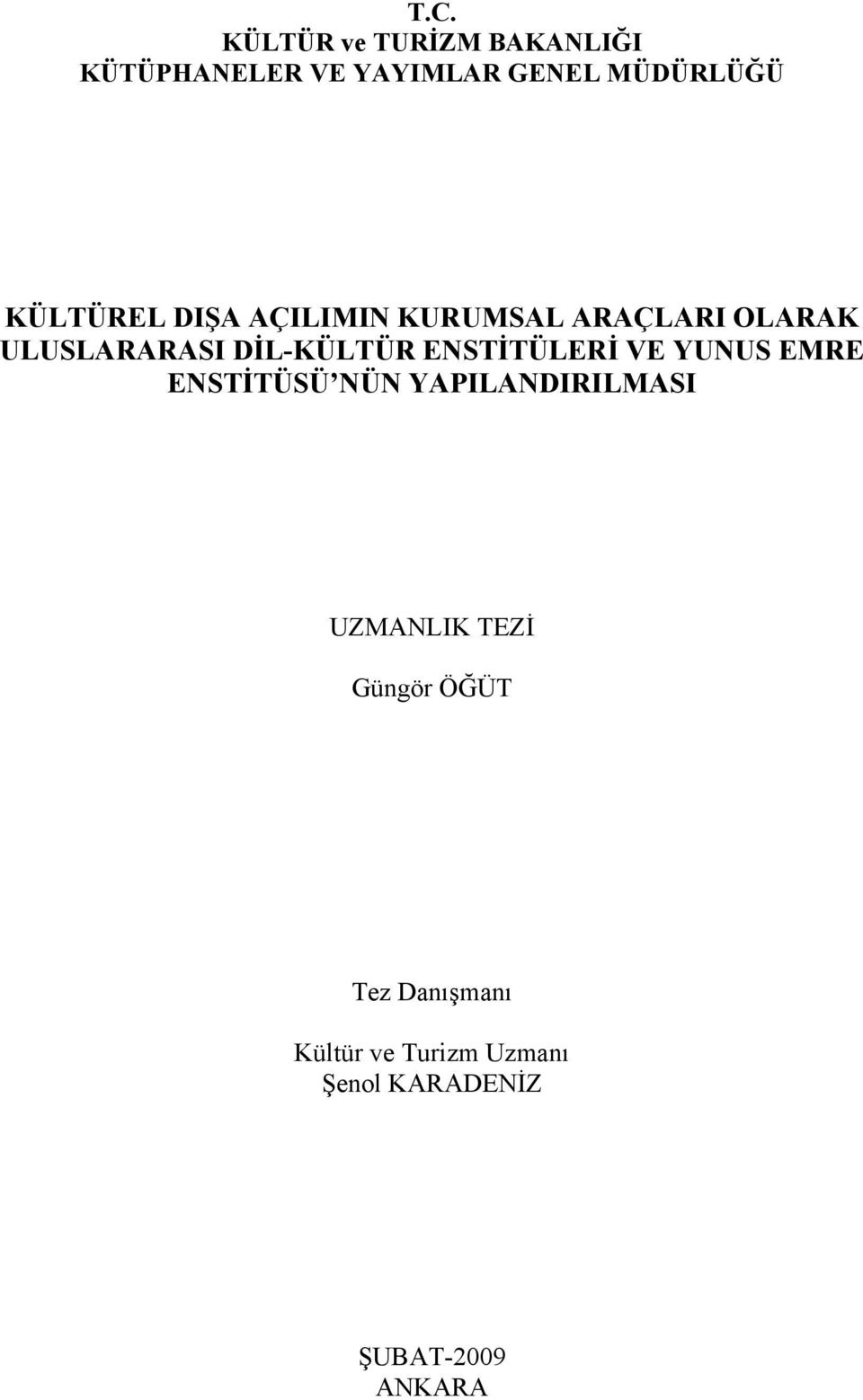 ENSTİTÜLERİ VE YUNUS EMRE ENSTİTÜSÜ NÜN YAPILANDIRILMASI UZMANLIK TEZİ