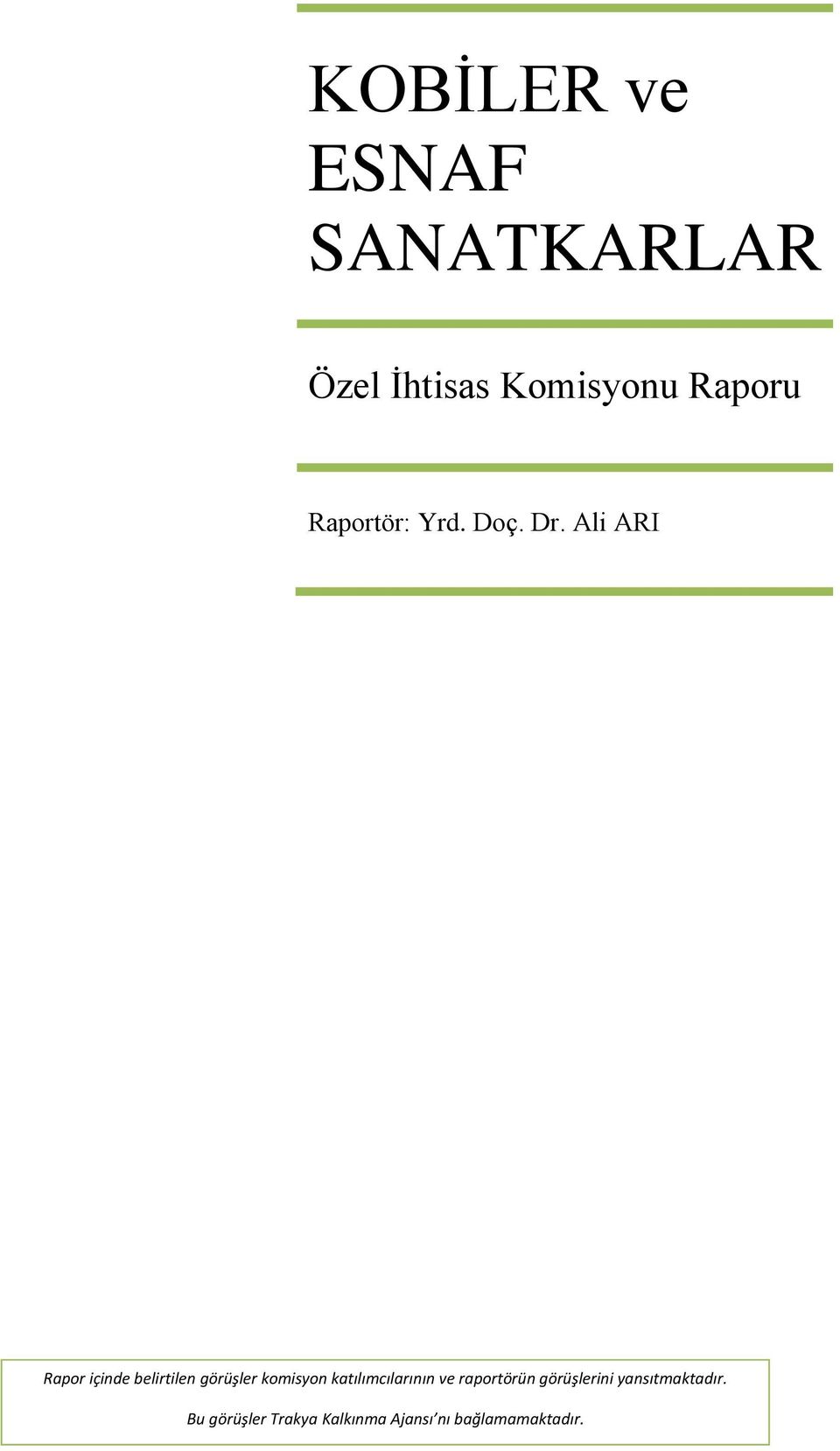 Ali ARI Rapor içinde belirtilen görüşler komisyon