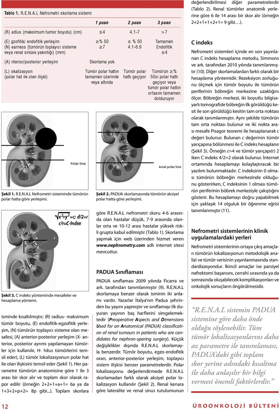 -7 >7 (E) gzofitik/ endofitik yerleşim (N) earness (tümörün toplayıcı sisteme veya renal sinüse yakınlığı) (mm) (A) nterior/posterior yerleşim (L) okalizasyon (polar hat ile olan ilişki) Şekil. R.E.N.A.L Nefrometri sisteminde tümörün polar hatta göre yerleşimi.