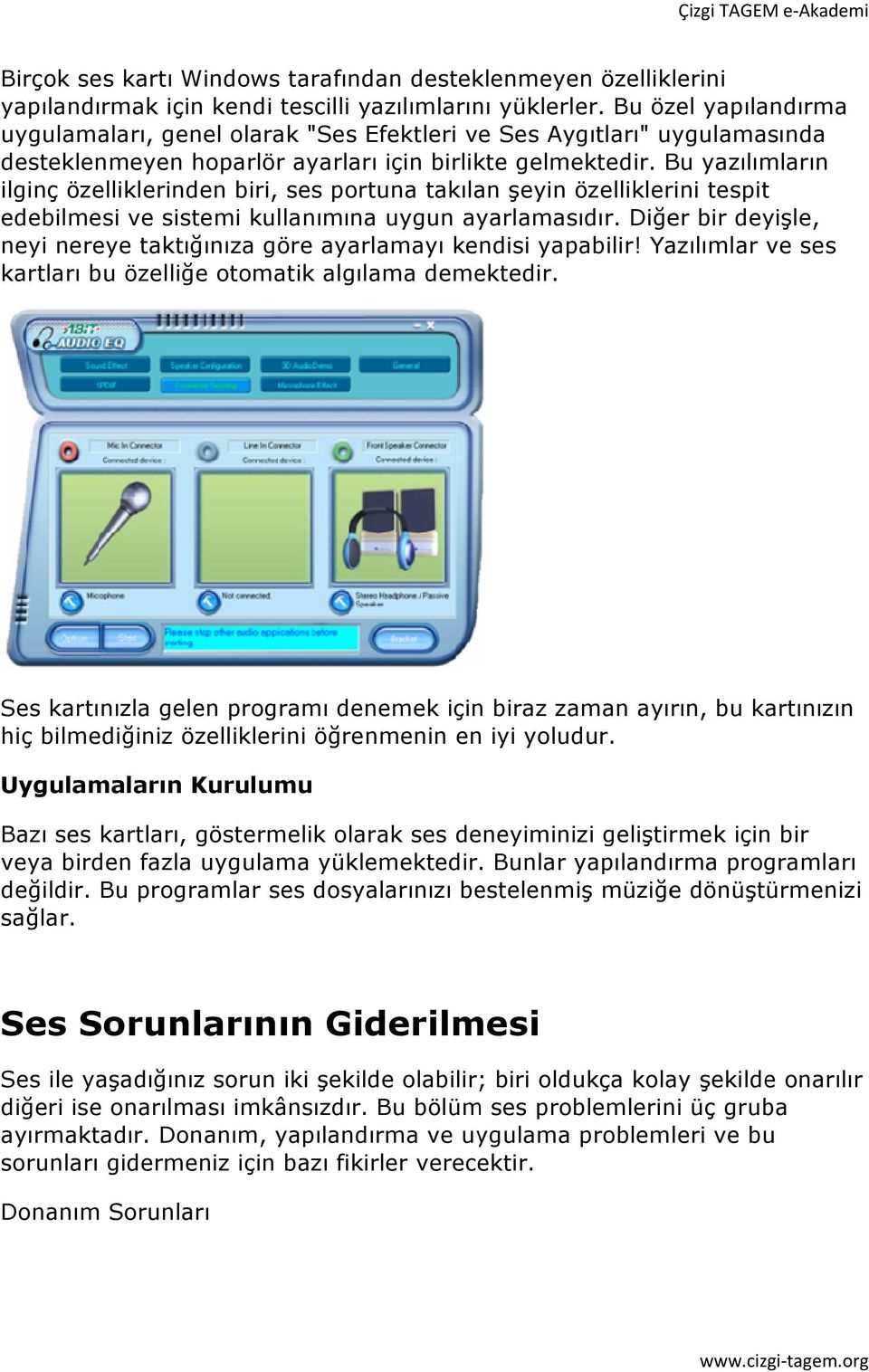 Bu yazılımların ilginç özelliklerinden biri, ses portuna takılan şeyin özelliklerini tespitt edebilmesi ve sistemi kullanımına uygun ayarlamasıdır.