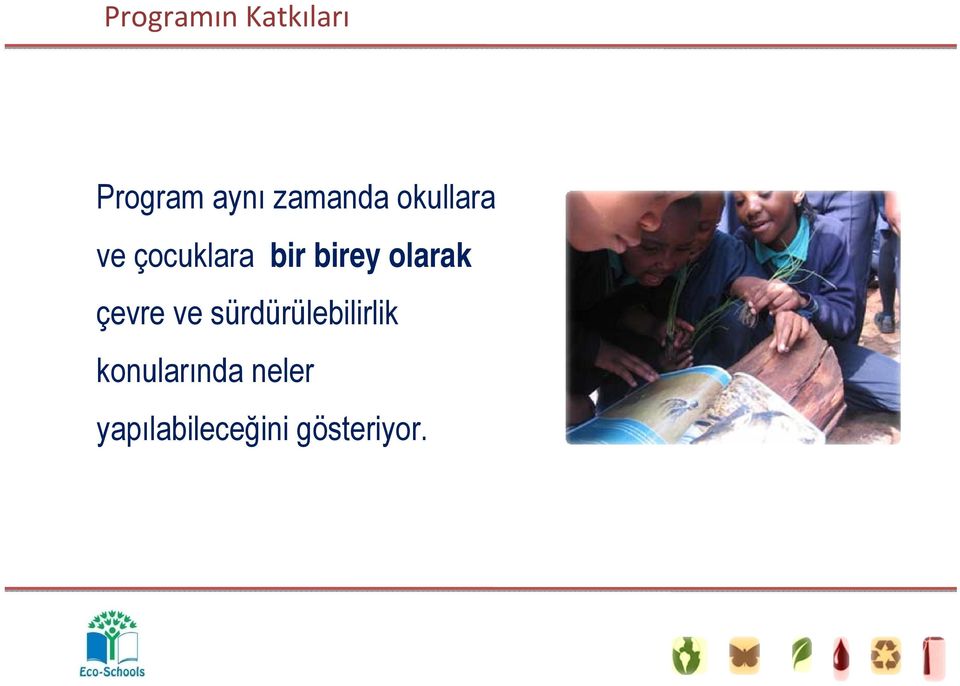 birey olarak çevre ve