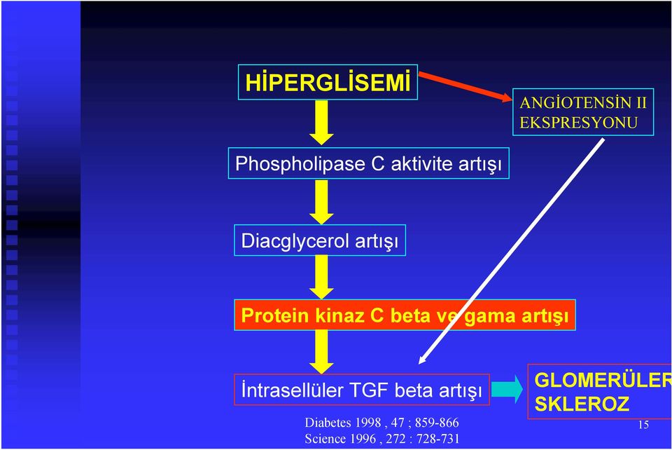 ve gama artışı İntrasellüler TGF beta artışı Diabetes