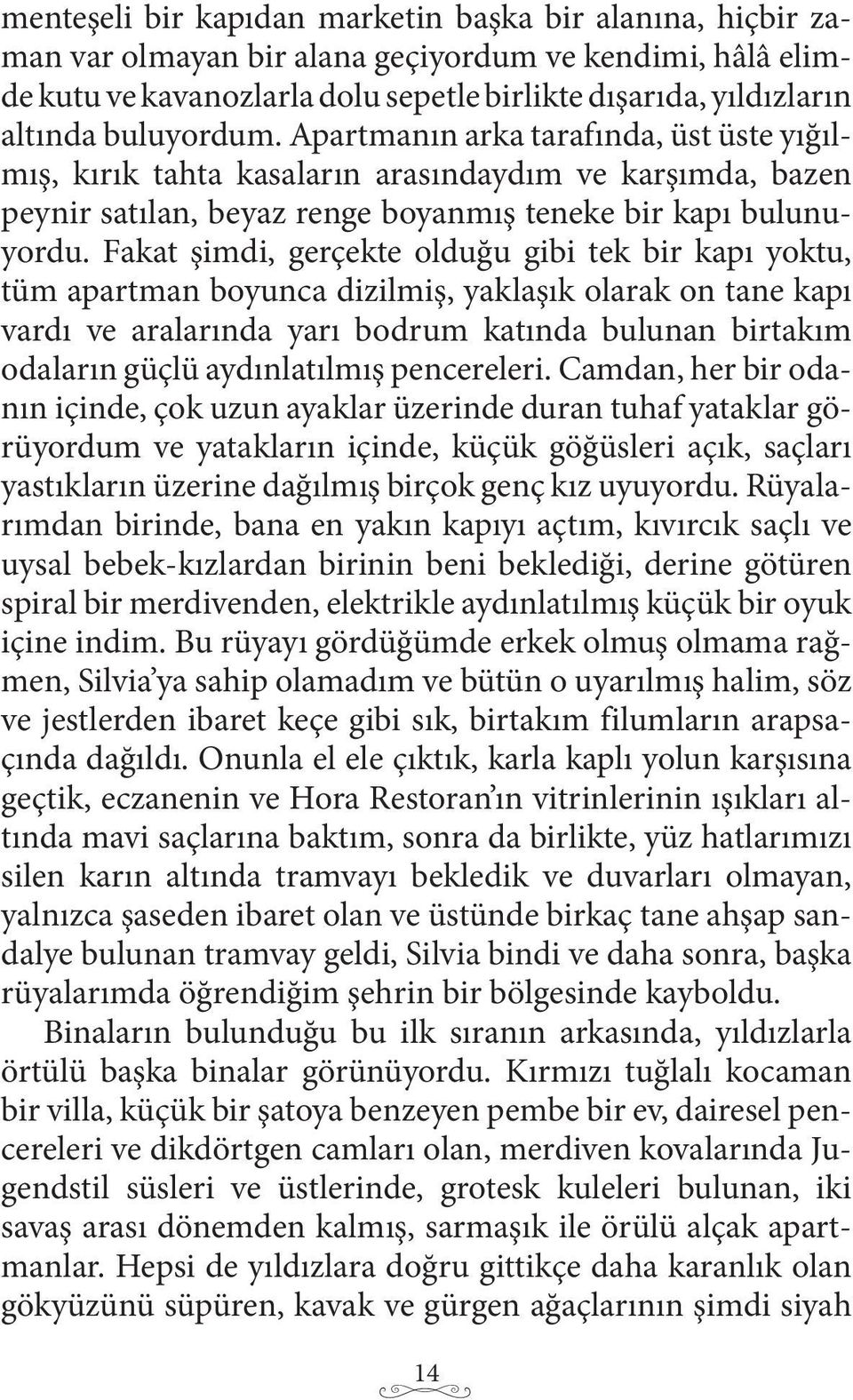 Fakat şimdi, gerçekte olduğu gibi tek bir kapı yoktu, tüm apartman boyunca dizilmiş, yaklaşık olarak on tane kapı vardı ve aralarında yarı bodrum katında bulunan birtakım odaların güçlü aydınlatılmış