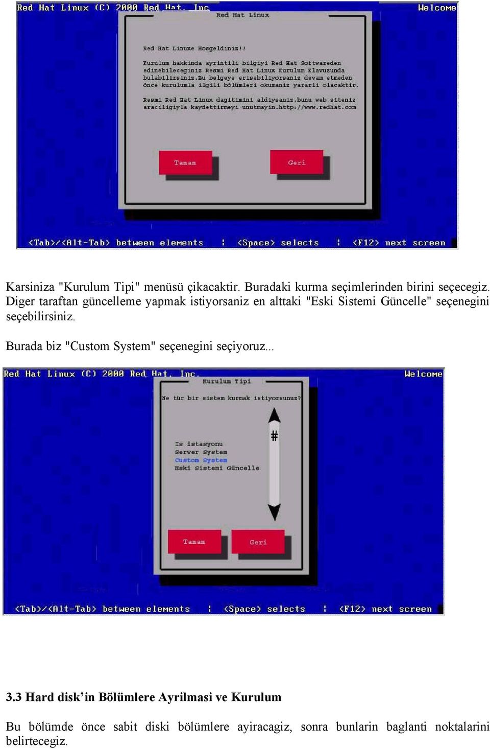 seçebilirsiniz. Burada biz "Custom System" seçenegini seçiyoruz... 3.