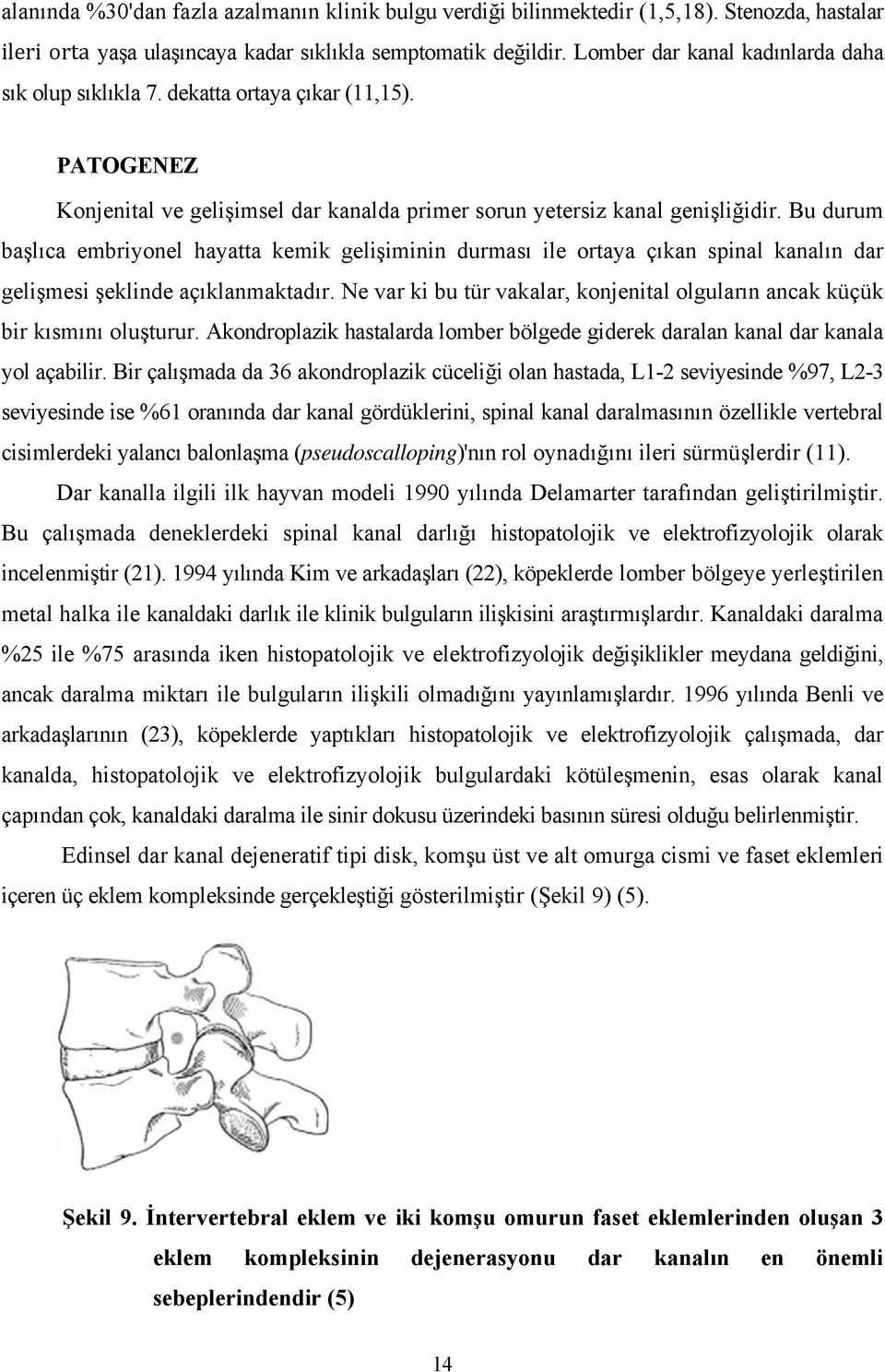 Bu durum başlıca embriyonel hayatta kemik gelişiminin durması ile ortaya çıkan spinal kanalın dar gelişmesi şeklinde açıklanmaktadır.