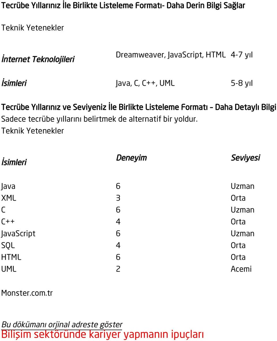 Formatı Daha Detaylı Bilgi Sadece tecrübe yıllarını belirtmek de alternatif bir yoldur.