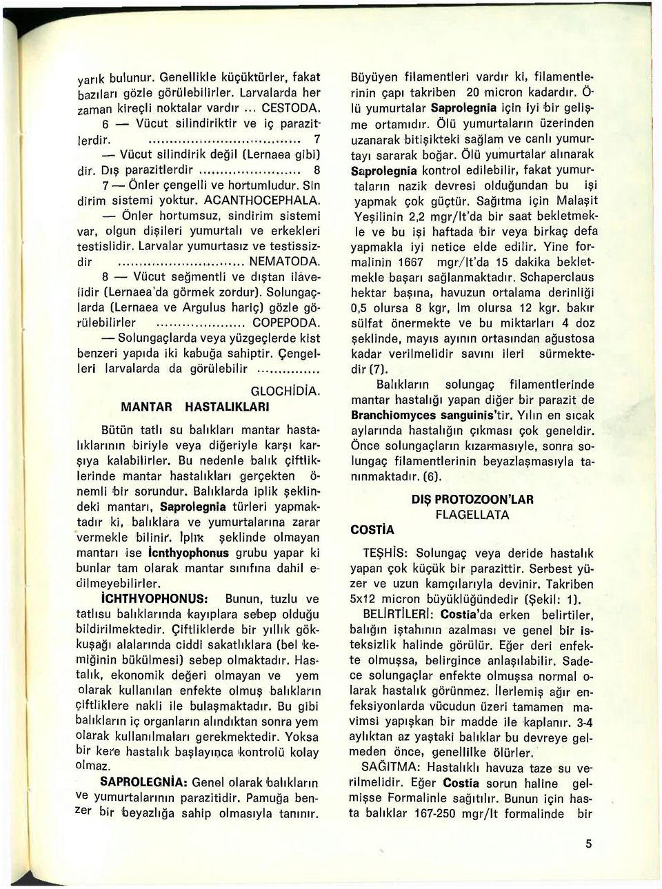 Önler hortumsuz, sindirim sistemi var, olgun dişileri yumurtalı ve erkekleri testislidir. Larvalar yumurtasız ve testissizdir NEMATODA.