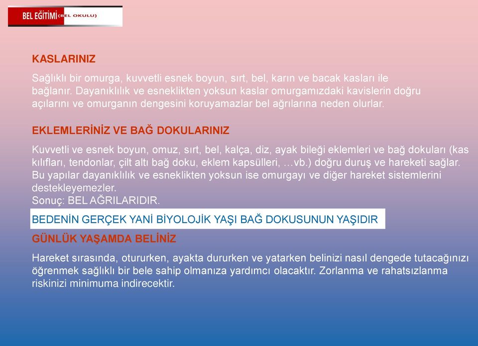 EKLEMLERİNİZ VE BAĞ DOKULARINIZ Kuvvetli ve esnek boyun, omuz, sırt, bel, kalça, diz, ayak bileği eklemleri ve bağ dokuları (kas kılıfları, tendonlar, çilt altı bağ doku, eklem kapsülleri, vb.