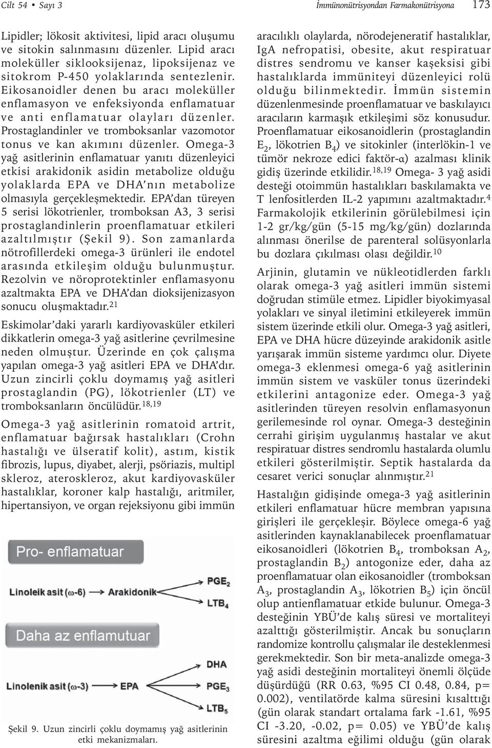 Eikosanoidler denen bu aracı moleküller enflamasyon ve enfeksiyonda enflamatuar ve anti enflamatuar olayları düzenler. Prostaglandinler ve tromboksanlar vazomotor tonus ve kan akımını düzenler.