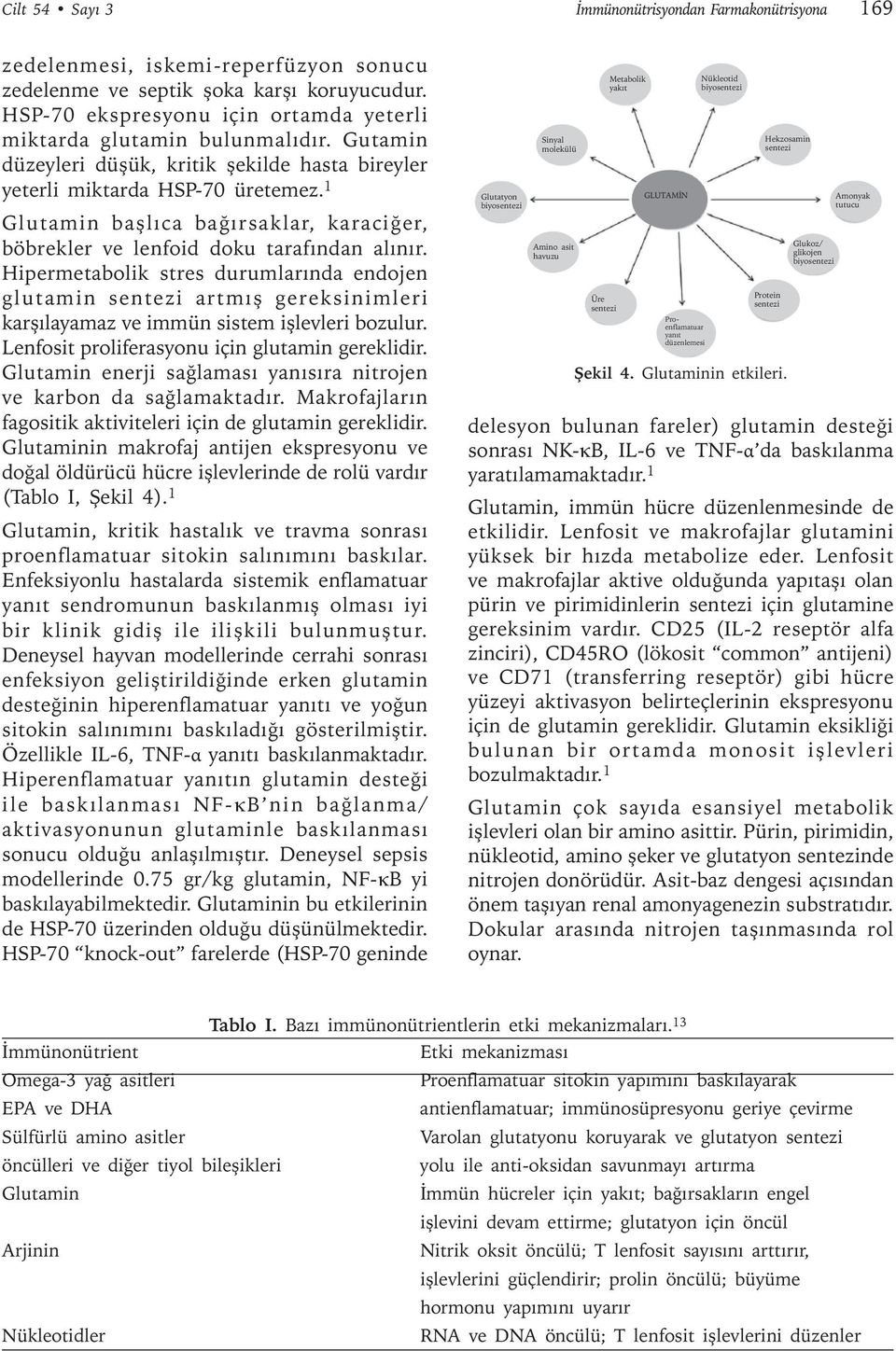 1 Glutamin başlıca bağırsaklar, karaciğer, böbrekler ve lenfoid doku tarafından alınır.