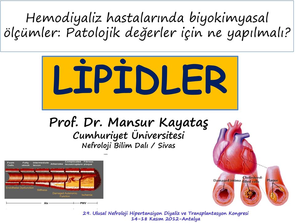 Mansur Kayataş Cumhuriyet Üniversitesi Nefroloji Bilim Dalı /