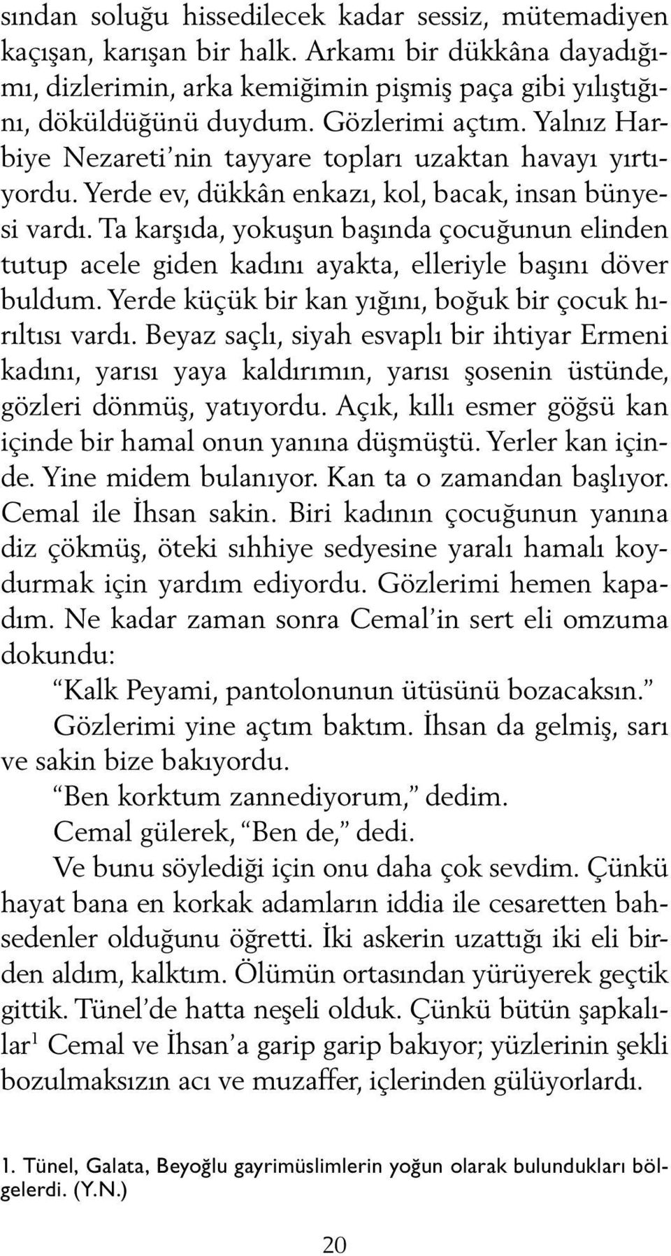 Ta karşıda, yokuşun başında çocuğunun elinden tutup acele giden kadını ayakta, elleriyle başını döver buldum. Yerde küçük bir kan yığını, boğuk bir çocuk hırıltısı vardı.