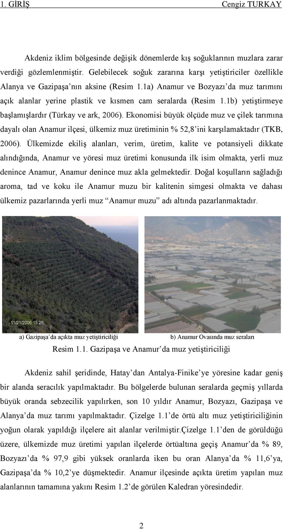 1b) yetiģtirmeye baģlamıģlardır (Türkay ve ark, 2006). Ekonomisi büyük ölçüde muz ve çilek tarımına dayalı olan Anamur ilçesi, ülkemiz muz üretiminin % 52,8 ini karģılamaktadır (TKB, 2006).
