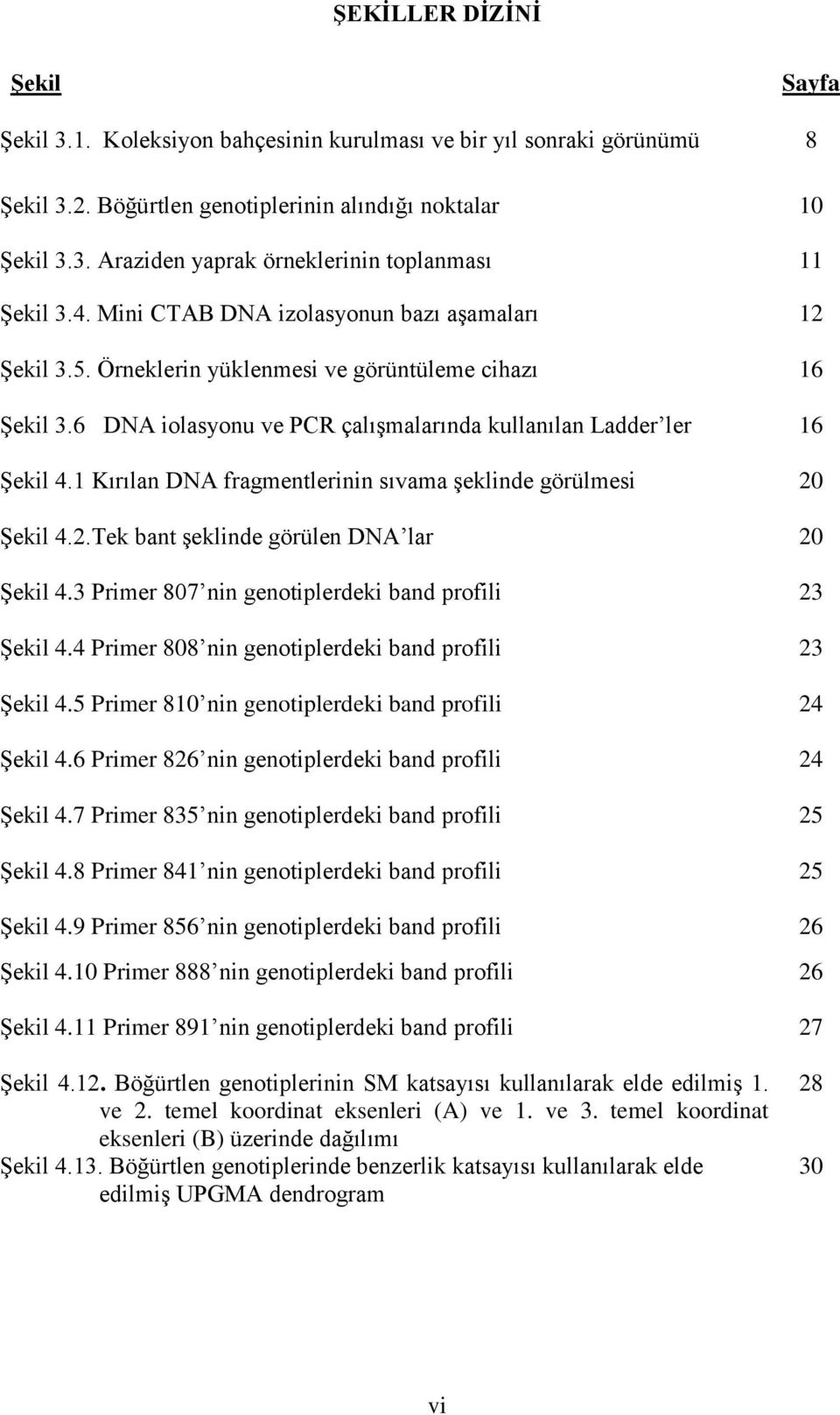 1 Kırılan DNA fragmentlerinin sıvama şeklinde görülmesi 20 Şekil 4.2.Tek bant şeklinde görülen DNA lar 20 Şekil 4.3 Primer 807 nin genotiplerdeki band profili 23 Şekil 4.