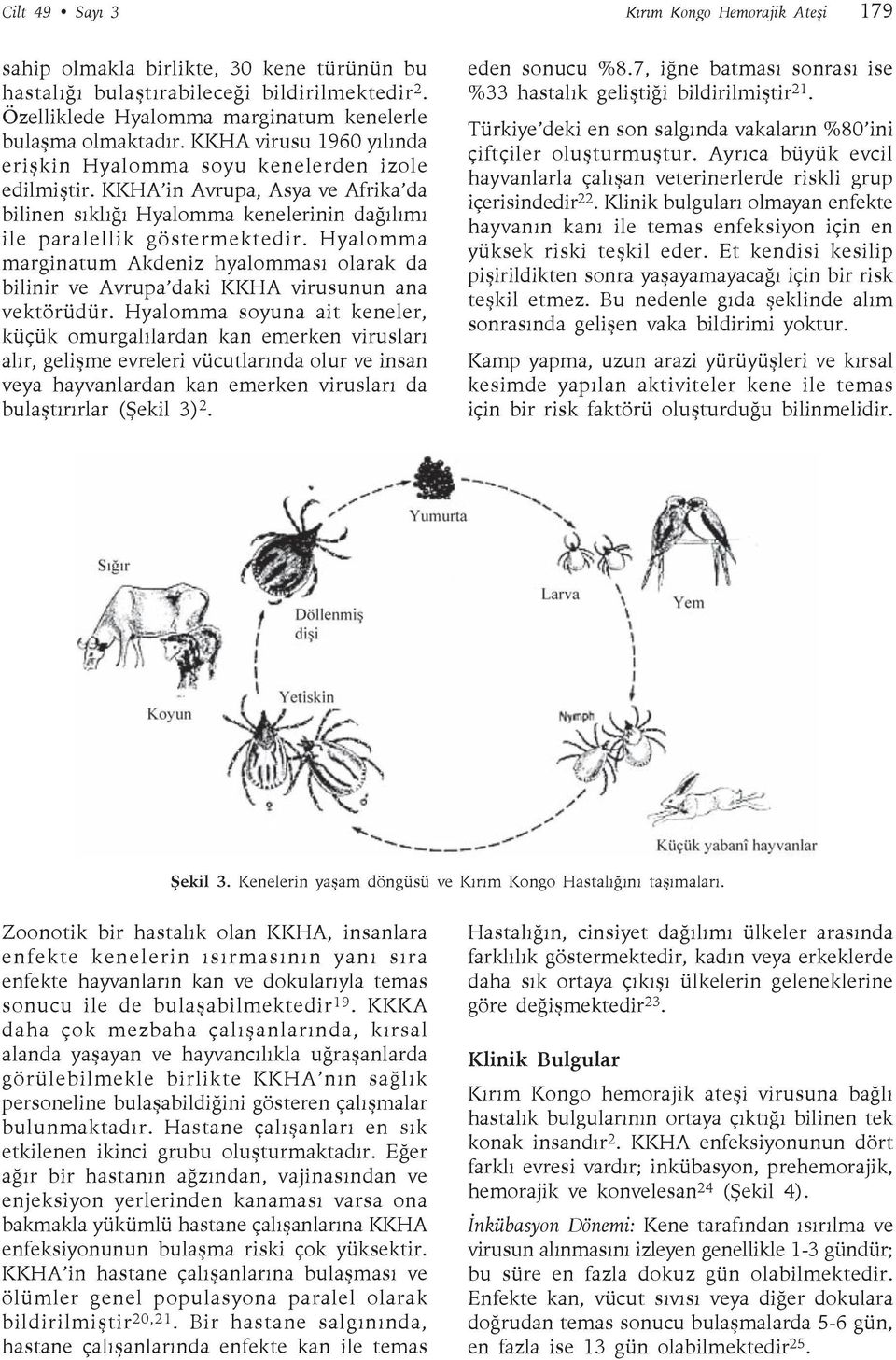 Hyalomma marginatum Akdeniz hyalomması olarak da bilinir ve Avrupa daki KKHA virusunun ana vektörüdür.