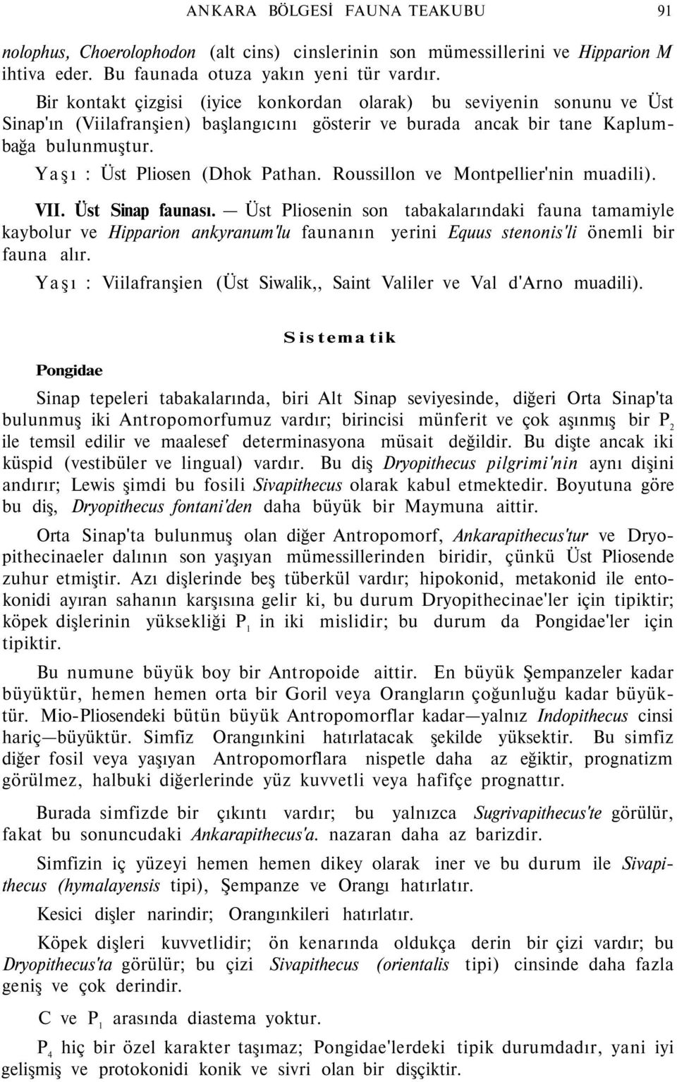 Roussillon ve Montpellier'nin muadili). VII. Üst Sinap faunası.