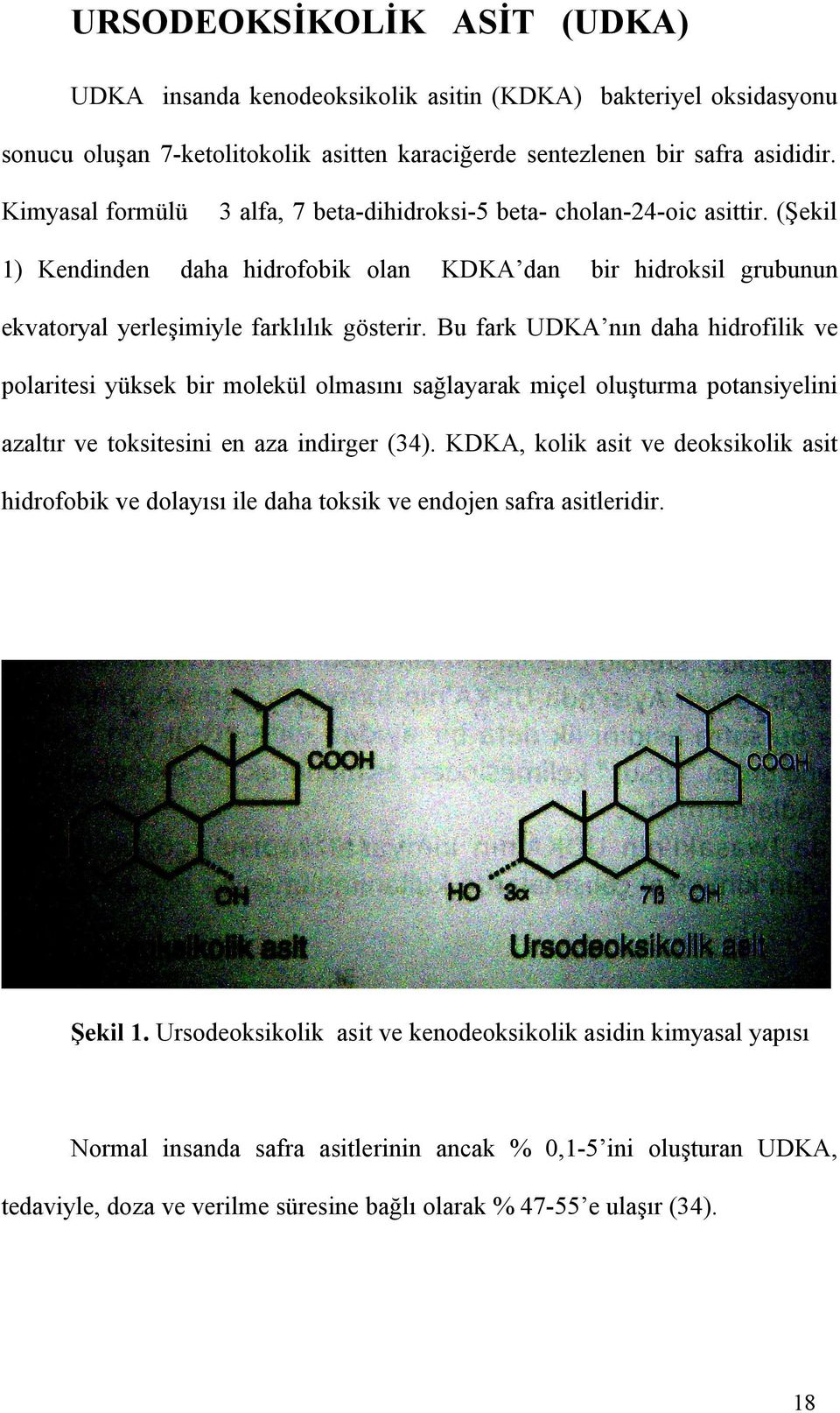 Bu fark UDKA nın daha hidrofilik ve polaritesi yüksek bir molekül olmasını sağlayarak miçel oluşturma potansiyelini azaltır ve toksitesini en aza indirger (34).