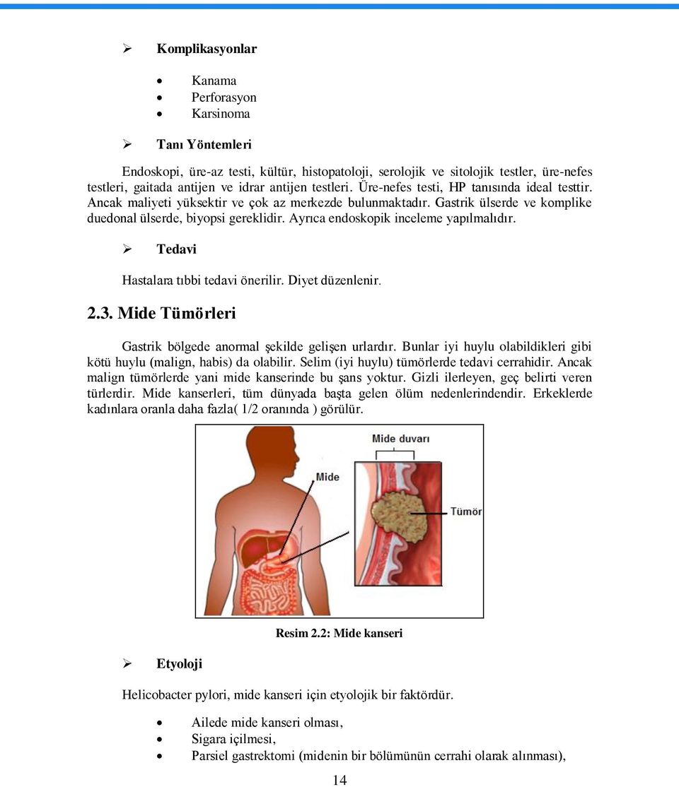 Ayrıca endoskopik inceleme yapılmalıdır. Tedavi Hastalara tıbbi tedavi önerilir. Diyet düzenlenir. 2.3. Mide Tümörleri Gastrik bölgede anormal Ģekilde geliģen urlardır.