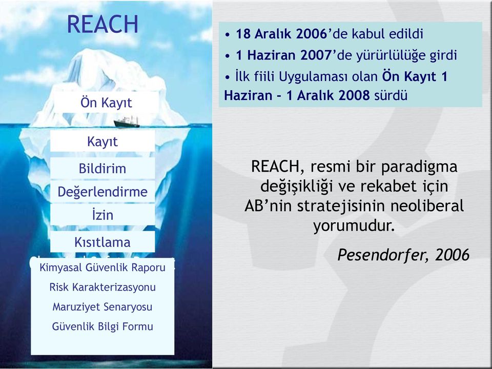 Kısıtlama Kimyasal Güvenlik Raporu Risk Karakterizasyonu Maruziyet Senaryosu Güvenlik Bilgi Formu