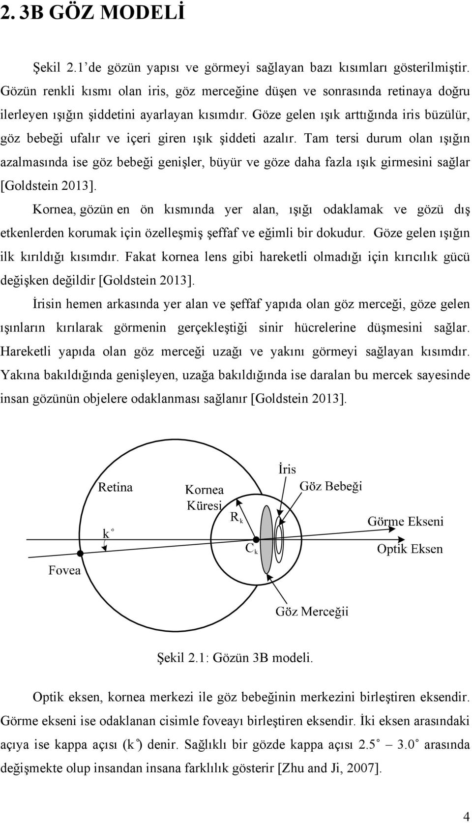 Göze gelen ışık arttığında iris büzülür, göz bebeği ufalır ve içeri giren ışık şiddeti azalır.