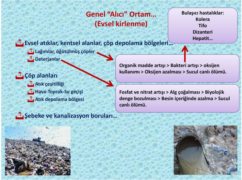 hastalıklar: Kolera Tifo Dizanteri Hepatit Organik madde artışı ş > Bakteri artışı ş > oksijen kullanımı > Oksijen azalması >