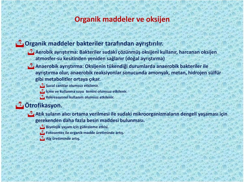 anaerobik bakteriler ile ayrıştırma olur, anaerobik reaksiyonlar sonucunda amonyak, metan, hidrojen sülfür gibi metabolitler ortaya çıkar. Ötrofikasyon. Sucul canlılar olumsuz etkilenir.