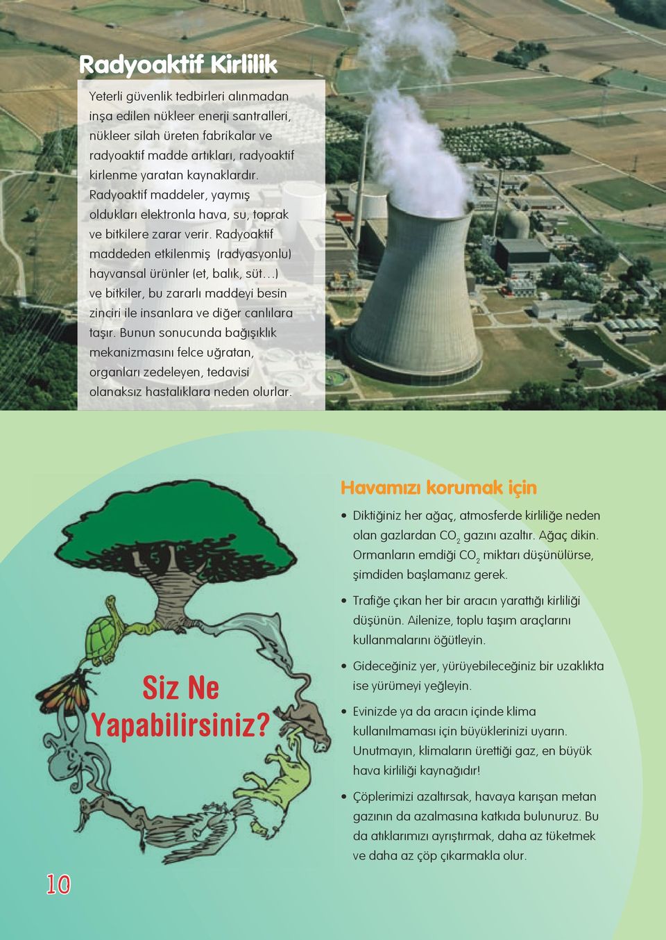 Radyoaktif maddeden etkilenmiş (radyasyonlu) hayvansal ürünler (et, balık, süt ) ve bitkiler, bu zararlı maddeyi besin zinciri ile insanlara ve diğer canlılara taşır.