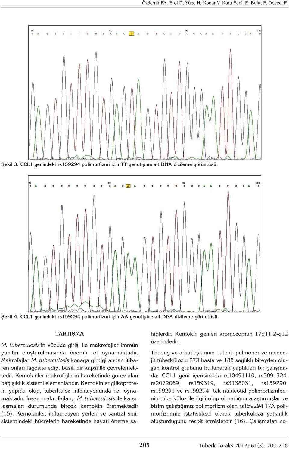 Makrofajlar M. tuberculosis konağa girdiği andan itibaren onları fagosite edip, basili bir kapsülle çevrelemektedir. Kemokinler makrofajların hareketinde görev alan bağışıklık sistemi elemanlarıdır.