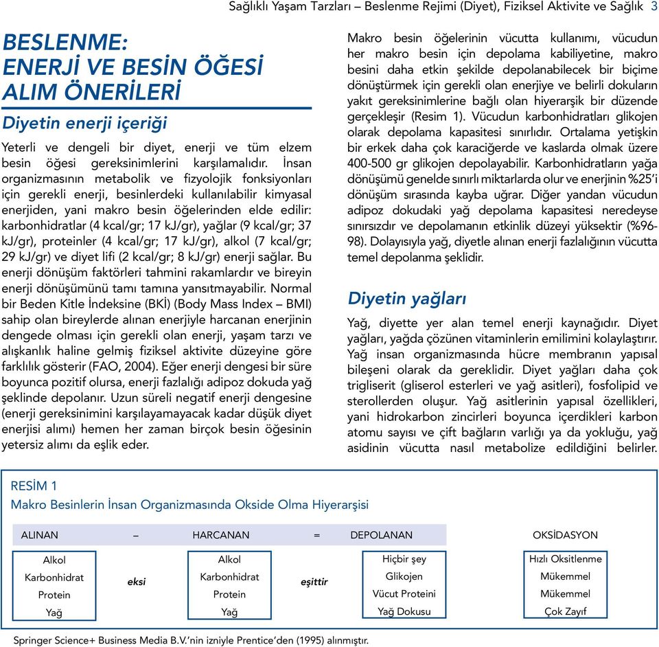 İnsan organizmasının metabolik ve fizyolojik fonksiyonları için gerekli enerji, besinlerdeki kullanılabilir kimyasal enerjiden, yani makro besin öğelerinden elde edilir: karbonhidratlar (4 kcal/gr;