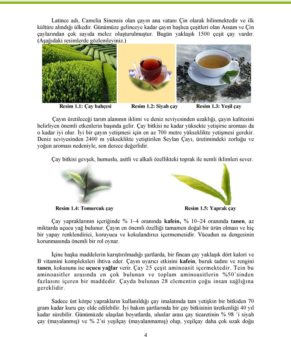 1: Çay bahçesi Resim 1.2: Siyah çay Resim 1.3: Yeşil çay Çayın üretileceği tarım alanının iklimi ve deniz seviyesinden uzaklığı, çayın kalitesini belirliyen önemli etkenlerin başında gelir.