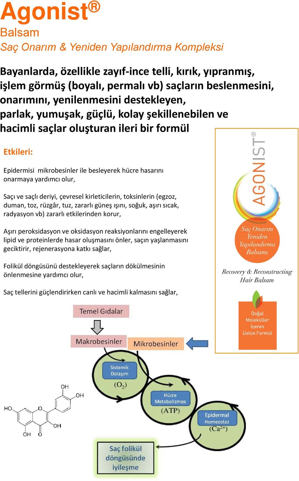 saçlı deriyi, çevresel kirleticilerin, toksinlerin (egzoz, duman, toz, rüzgâr, tuz, zararlı güneş ışını, soğuk, aşırı sıcak, radyasyon vb) zararlı etkilerinden korur, Aşırı peroksidasyon ve