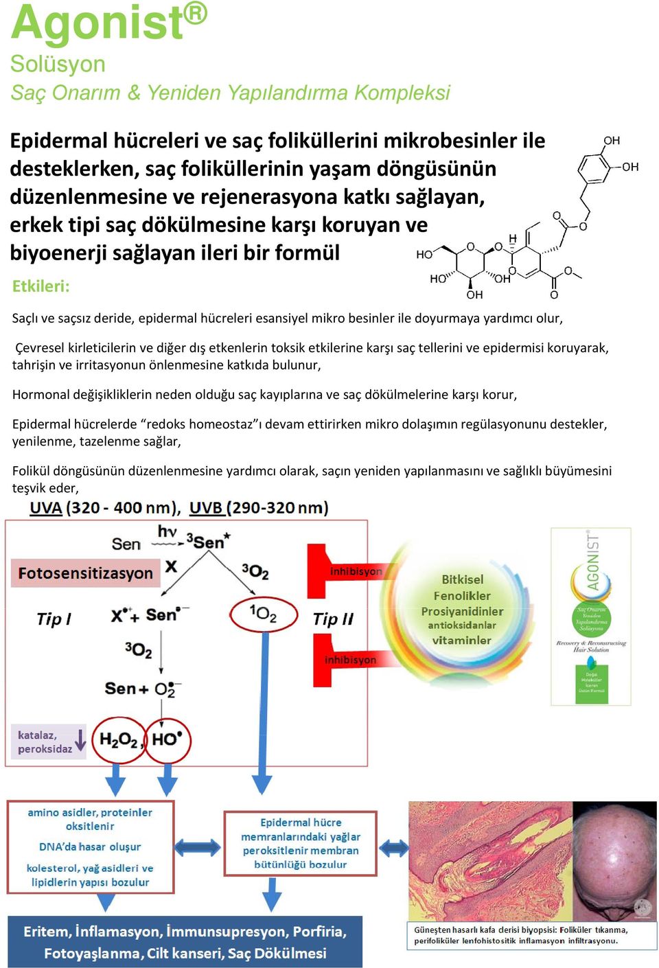 doyurmaya yardımcı olur, Çevresel kirleticilerin ve diğer dış etkenlerin toksik etkilerine karşı saç tellerini ve epidermisi koruyarak, tahrişin ve irritasyonun önlenmesine katkıda bulunur, Hormonal