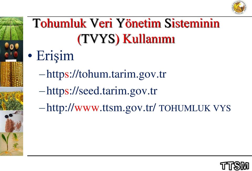 https://tohum.tarim.gov.