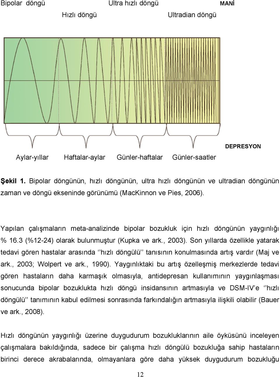 Yapılan çalışmaların meta-analizinde bipolar bozukluk için hızlı döngünün yaygınlığı % 16.3 (%12-24) olarak bulunmuştur (Kupka ve ark., 2003).