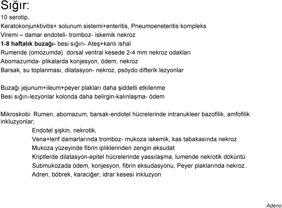 plakları daha şiddetli etkilenme Besi sığırı-lezyonlar kolonda daha belirgin-kalınlaşma- ödem Mikroskobi: Rumen, abomazum, barsak-endotel hücrelerinde intranukleer bazofilik, amfofilik inkluzyonlar;