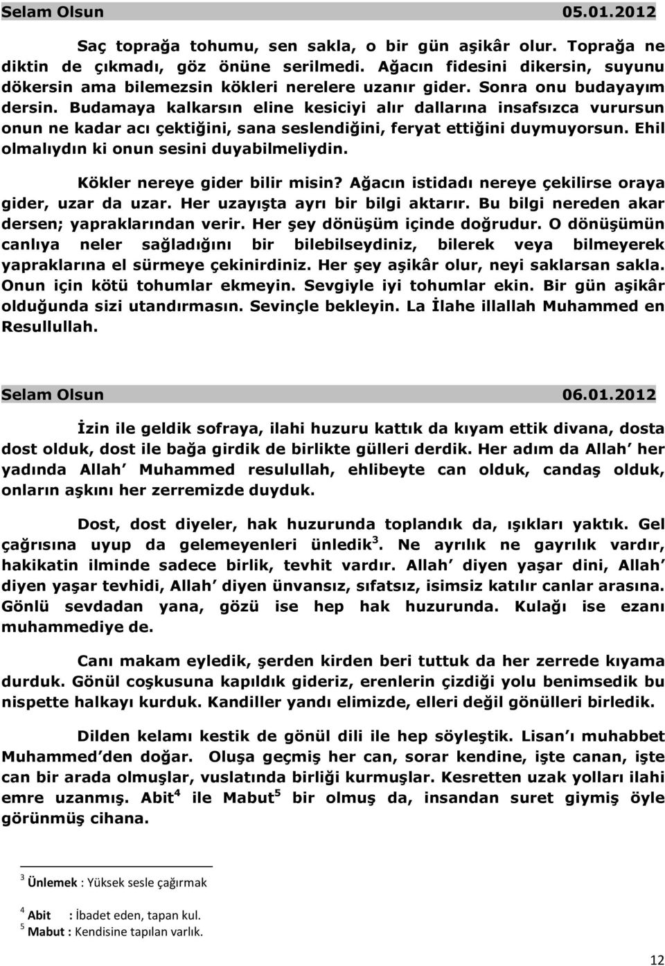 Budamaya kalkarsın eline kesiciyi alır dallarına insafsızca vurursun onun ne kadar acı çektiğini, sana seslendiğini, feryat ettiğini duymuyorsun. Ehil olmalıydın ki onun sesini duyabilmeliydin.