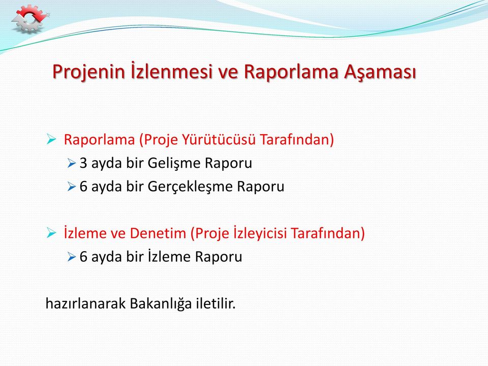 Gerçekleşme Raporu İzleme ve Denetim (Proje İzleyicisi